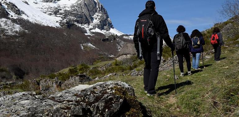 Este verano, montes oseros sin basuraleza