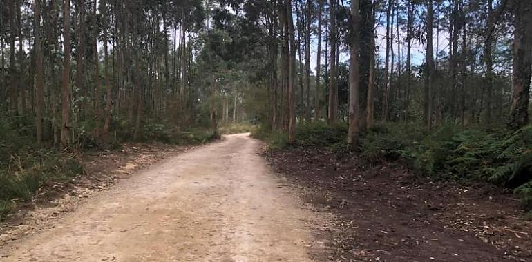 el Camín Antiguo de Oviedo a Ambás convertido en senda ciclo-peatonal