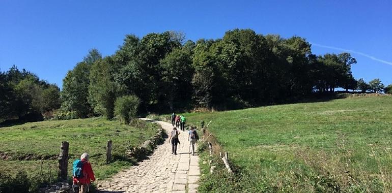 2020 está siendo el peor año para el Camino de Santiago desde que hay registros