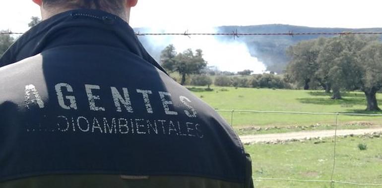 En marcha un complejo operativo para rescatar a un oso atropellado en Somiedo