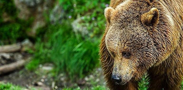 Asturias defiende su turismo sostenible en la Red Natura 2000