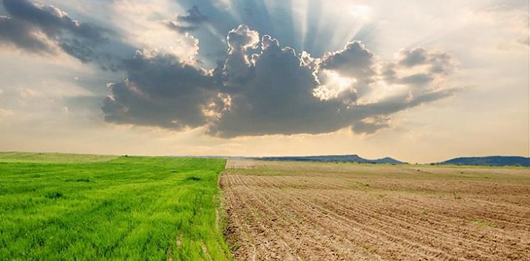 Mañana se celebra el Dia contra el Cambio Climático en un planeta cada vez más cálido