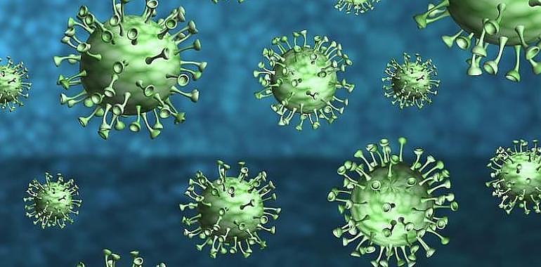 Fallecen 8 mujeres por coronavirus en Asturias. Los nuevos contagios bajan a 141