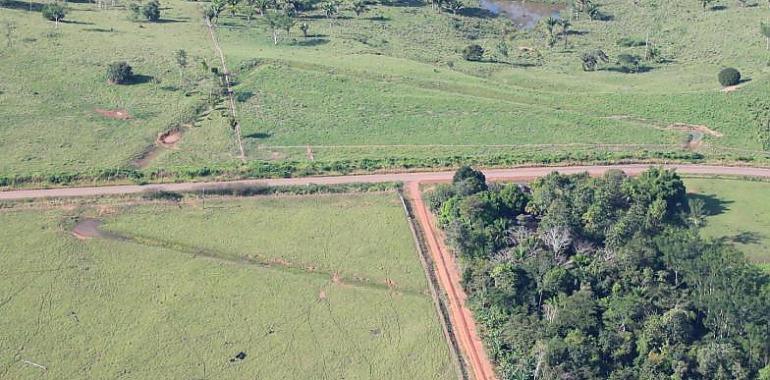 Los humanos cultivaron en el Amazonas 10 mil años pero nunca deforestaron hasta la actualidad