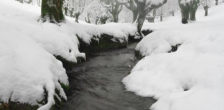 El temporal dejará nevadas excepcionales, lluvias y viento en todo España