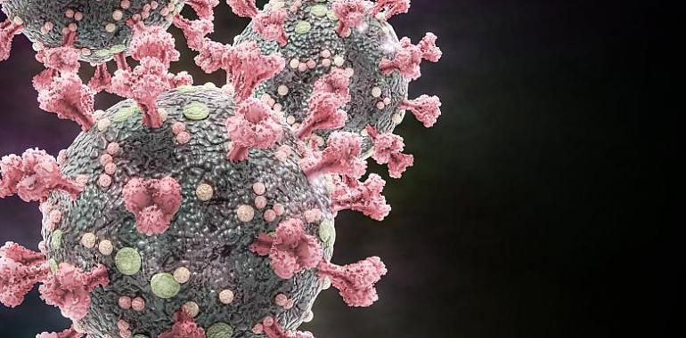 Nueve fallecimientos covid más y 503 nuevos casos de coronavirus en Asturias