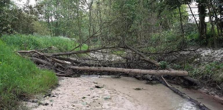  La Confederación Hidrográfica del Cantábrico invirtió 2,2 millones de euros en ríos de Asturias durante 2020 