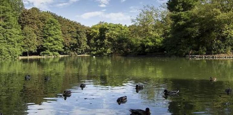 La Policía Local de Gijón cierra los principales accesos al parque Isabel La Católica por fuertes vientos