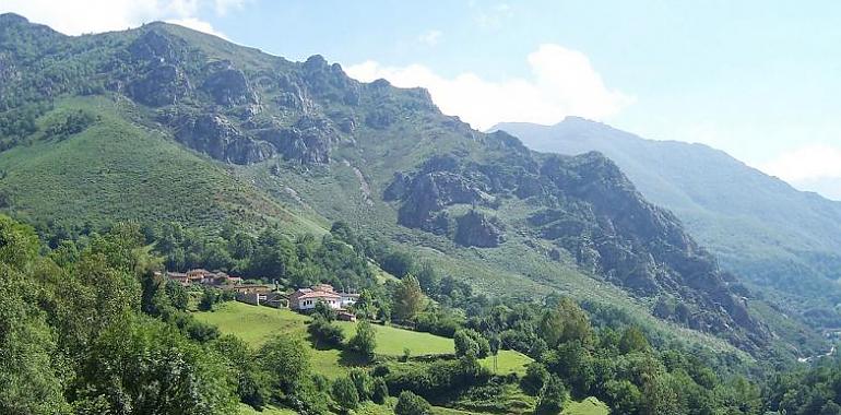 La Fundación Oso Pardo se opone a la implantación de parques eólicos en Cangas de Narcea, Somiedo y Tineo por sus impactos negativos sobre el medio ambiente y la biodiversidad 