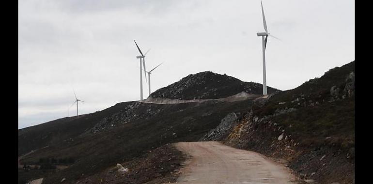 Los ecologistas plantean dudas antes los cambios del Gobierno de Asturias para permitir nuevos parques eólicos