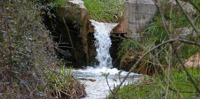 Actuación ejemplar de la Fiscalía contra los abusos de la minería del oro en la Cordillera Cantábrica: multa de 20 millones de euros para Orovalle por contaminar la cuenca del Narcea 