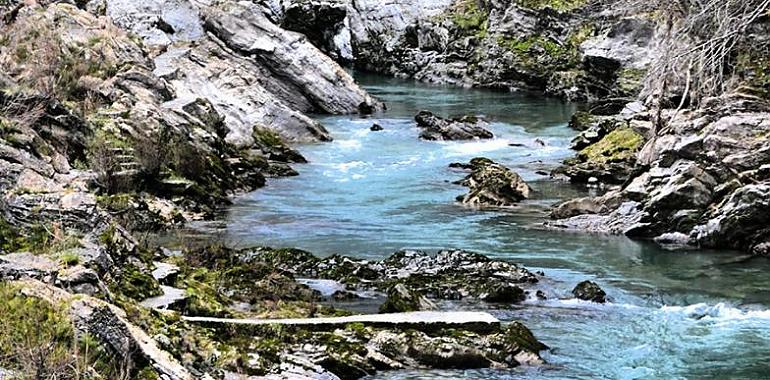 Sancionan a Cangas de Onis por los vertidos al río Sella