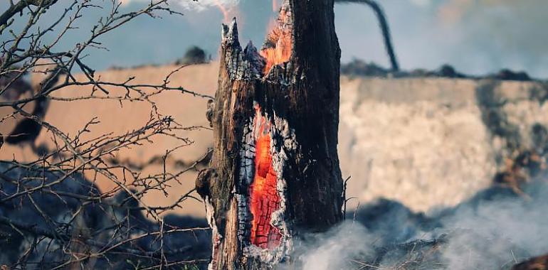 En estos momentos se contabilizan 44 incendios forestales en Asturias