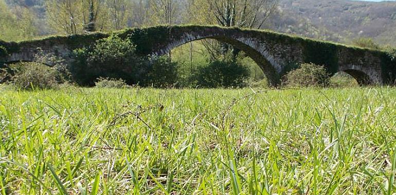 638.057 euros para la estación depuradora y la mejora de la red de saneamiento de Olloniego, en Oviedo