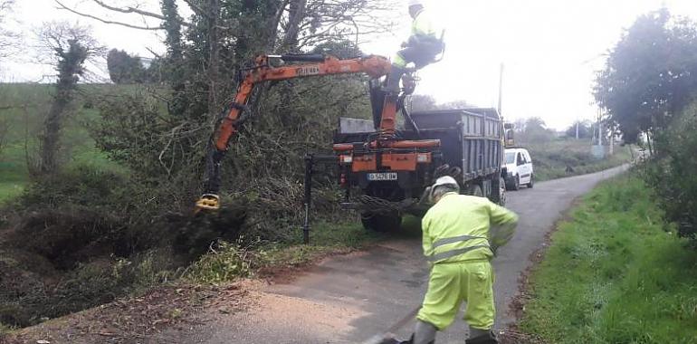 Continúan las actuaciones de la Confederación Hidrográfica del Cantábrico en varios cauces del occidente de Asturias