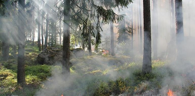 El Gobierno de Asturias publica las medidas para la prevención de incendios forestales en verano