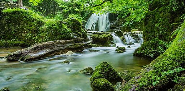 Asturias recibirá casi 8 M€ más para inversiones en biodiversidad y ecosistemas