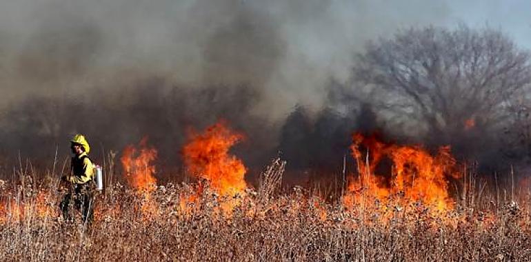 ¿Por qué parece que ahora hay más incendios forestales que antes?