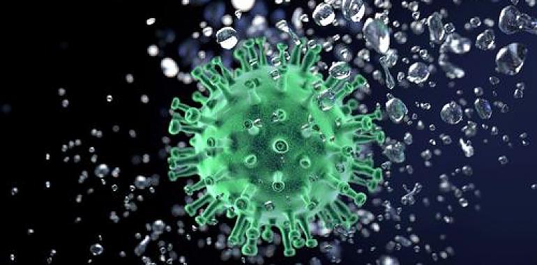 538 nuevos casos de coronavirus en Asturias tras el 