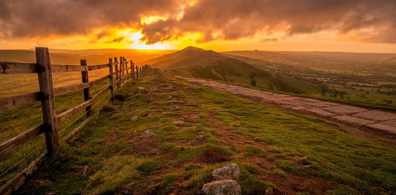 Asturias destina 300.000 euros a reforzar el control y seguimiento de los daños de la fauna silvestre