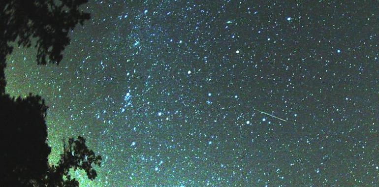 Se agotan las plazas para observar la lluvia de perseidas en Coto Bello