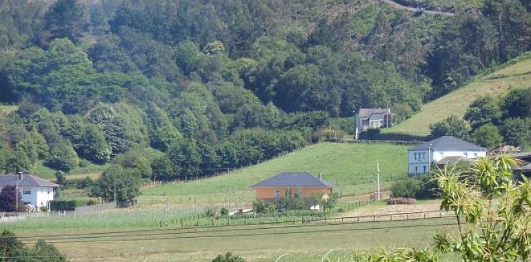 Salen a licitación por casi un millón de euros las obras de la red de caminos de la concentración parcelaria de los montes de Anleo, en Navia