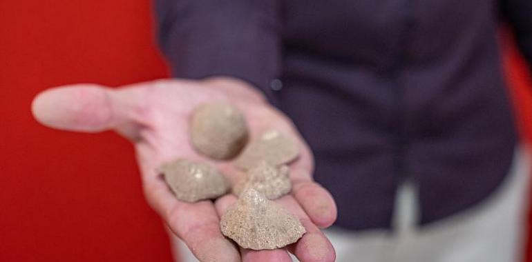 Las conchas del Cantábrico nos ayudan mucho a conocer nuestro pasado