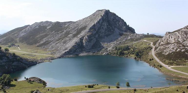 Cuando la naturaleza te sale al encuentro ¿dónde la guardas?