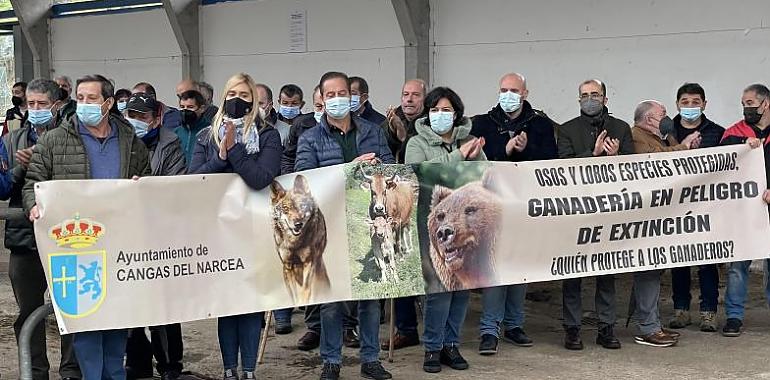 Nutrida Manifestación Ganadera en Cangas del Narcea