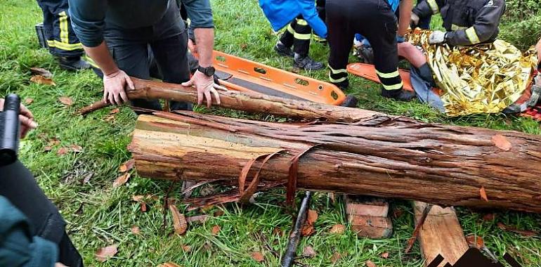 Hospitalizado un vecino de Muncó de Siero herido por caída de árbol