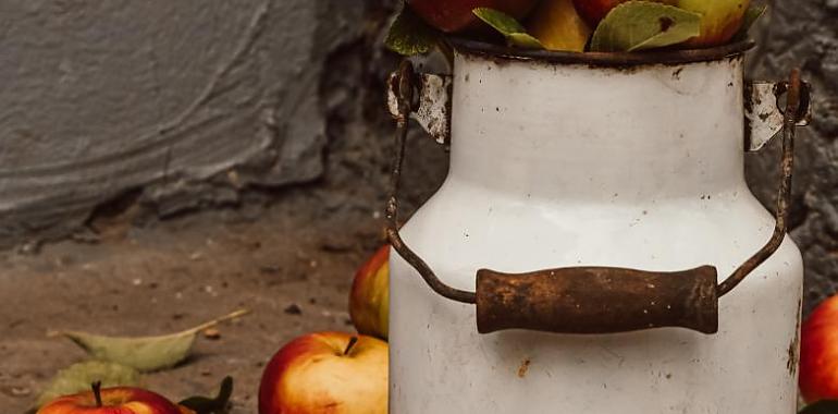 Gran primer fin de semana de "Gijon de Sidra" del que puedes seguir disfrutando hasta el domingo 12