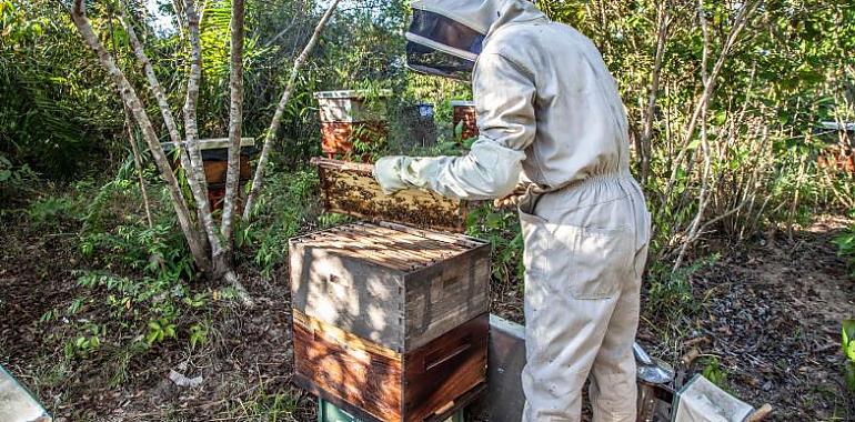 El Principado destina 500.000 euros a impulsar la biodiversidad y la mejora de la ganadería