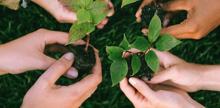 El Principado, la Rede de Normalización y Copae presentan un manual de cultivo ecológico en asturiano y eonaviego para subrayar la relación entre las lenguas propias de Asturias y el autocultivo sostenible de alimentos  