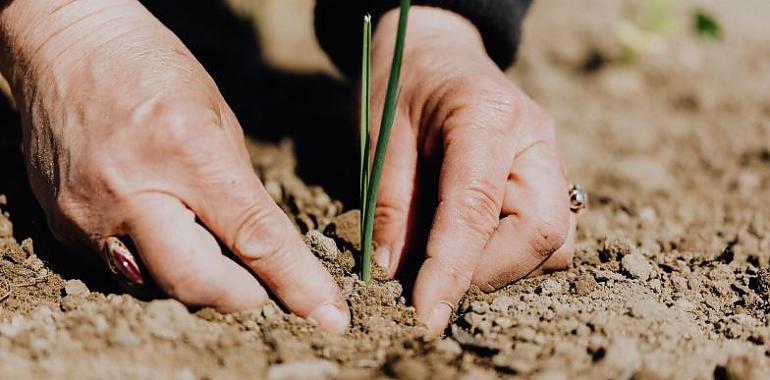 la PAC pone 96 millones a disposición de agricultores y ganaderos asturianos