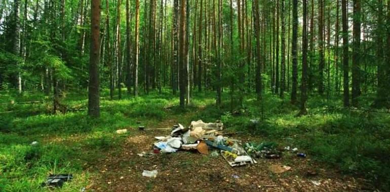 Avilés aporta voluntarios a la Campaña de Limpiezas en espacios naturales de COGERSA