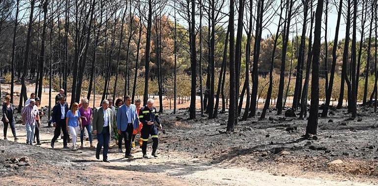 El Gobierno declarará zona catastrófica todos los territorios damnificados por grandes incendios