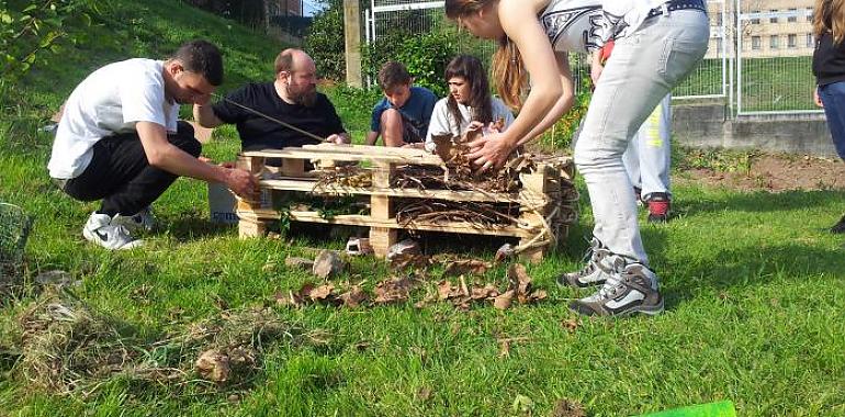 Yoga, talleres de cocina, semillas y experimentos comestibles en el Bosque Comestible de Avilés