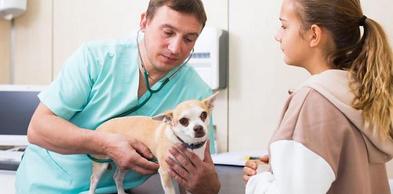 Veterinarios voluntarios ofrecerán charlas en colegios de Asturias sobre la tenencia responsable de mascotas