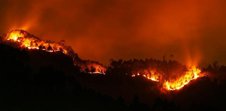 En estos momentos se contabilizan 19 incendios forestales en 9 concejos de la región 