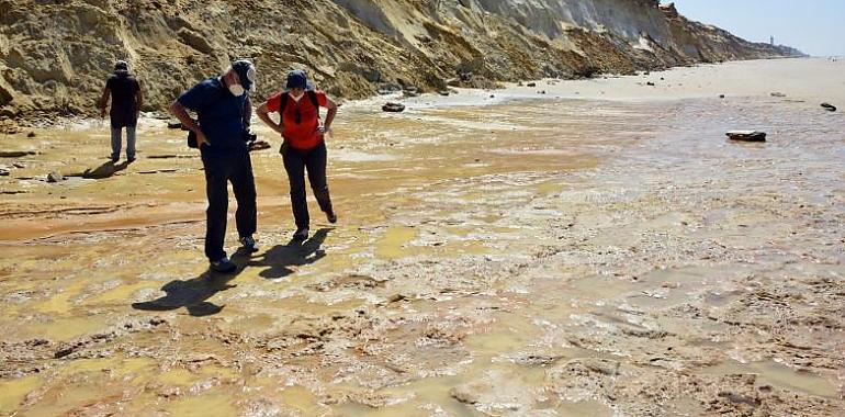 Una investigación en la que participa la Universidad de Oviedo revela que las pisadas de homínidos descubiertas en Doñana son muchísimos años más antiguas de lo estimado incialmente