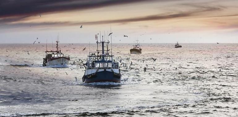 750.000 euros públicos para el relevo generacional, la mejora de buques, la acuicultura y la transformación de productos pesqueros