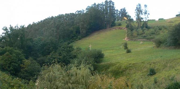 Cultura inicia la intervención arqueológica en el castro de Doña Palla, en Pravia, con una inversión de más de 20.000 euros