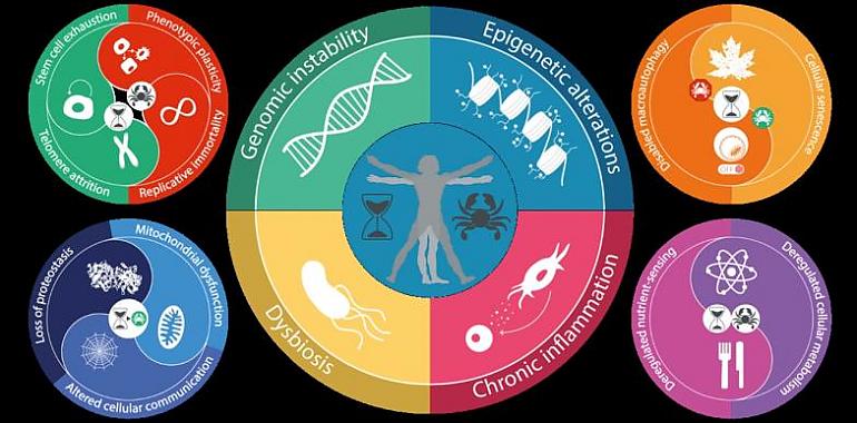 Nuevas claves y metaclaves del envejecimiento y el cáncer