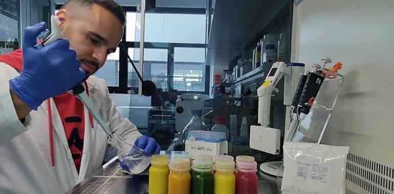 Crean bebidas probióticas con una bacteria que procede de la aceituna de mesa