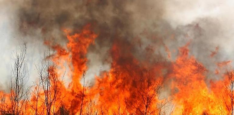 Al menos 8 focos con fuego en territorio asturiano en este momento