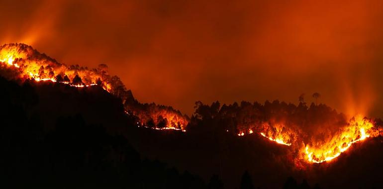 Actualización de los incendios en nuestra región