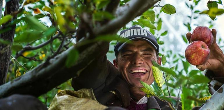 389 agricultores asturianos cobran 170.000 euros para compensar la subida del precio de los fertilizantes 