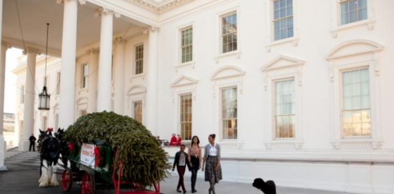 The White House Christmas Tree Arrives