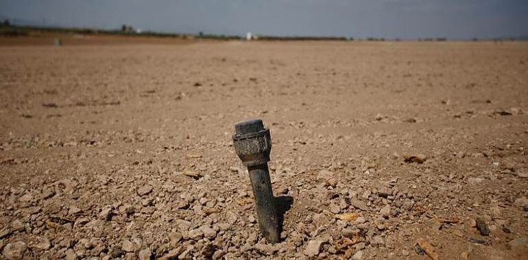 Greenpeace sostiene que en España "no hay agua para tanto regadío"