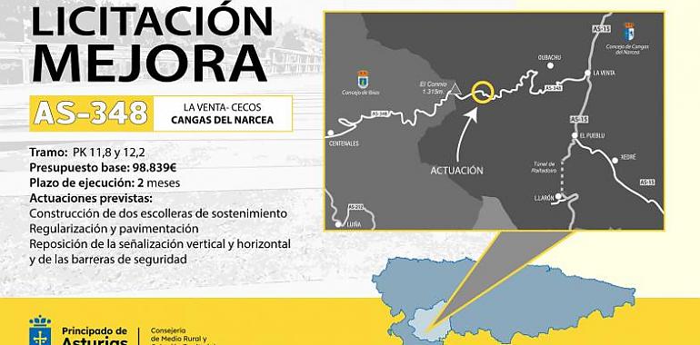 Salen a licitación por 100.000 euros las obras de construcción de dos escolleras en la carretera AS-348 en Cangas del Narcea